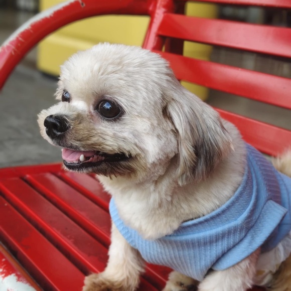 Meet your Posher, Princess - Picture 1 of 1